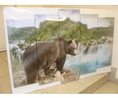 Модульная картина 5 частей 120x80 Медведь Водопад №104