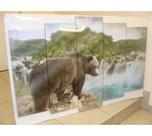 Модульная картина 5 частей 120x80 Медведь Водопад №104